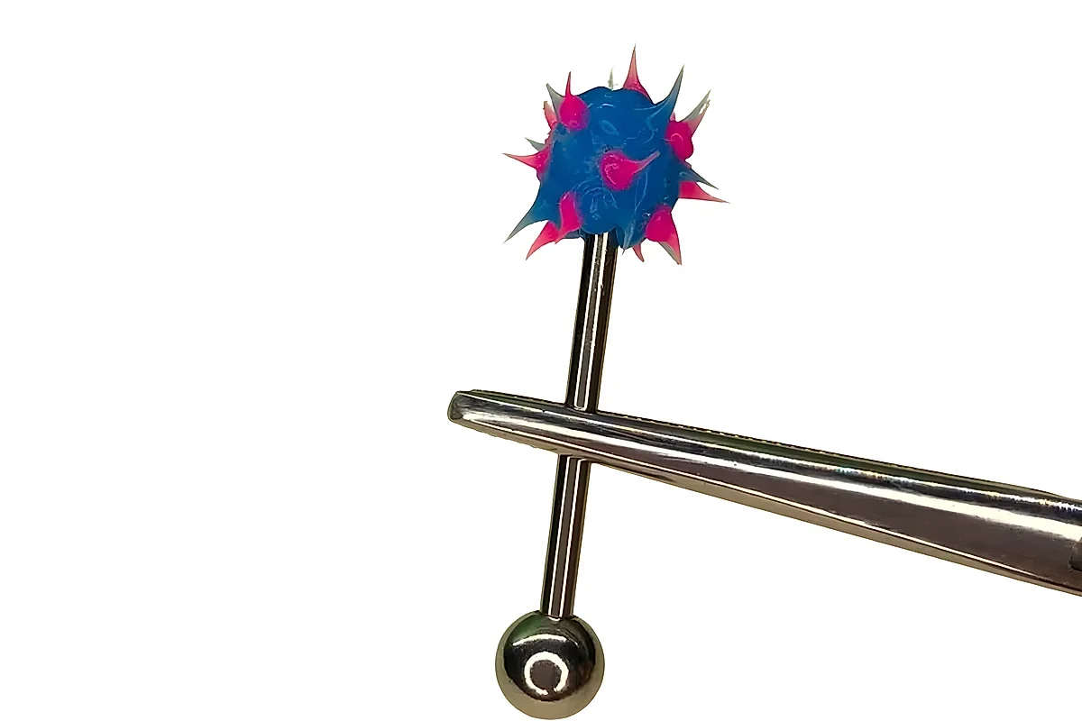 Púa Bicolor — Oasis Piercing