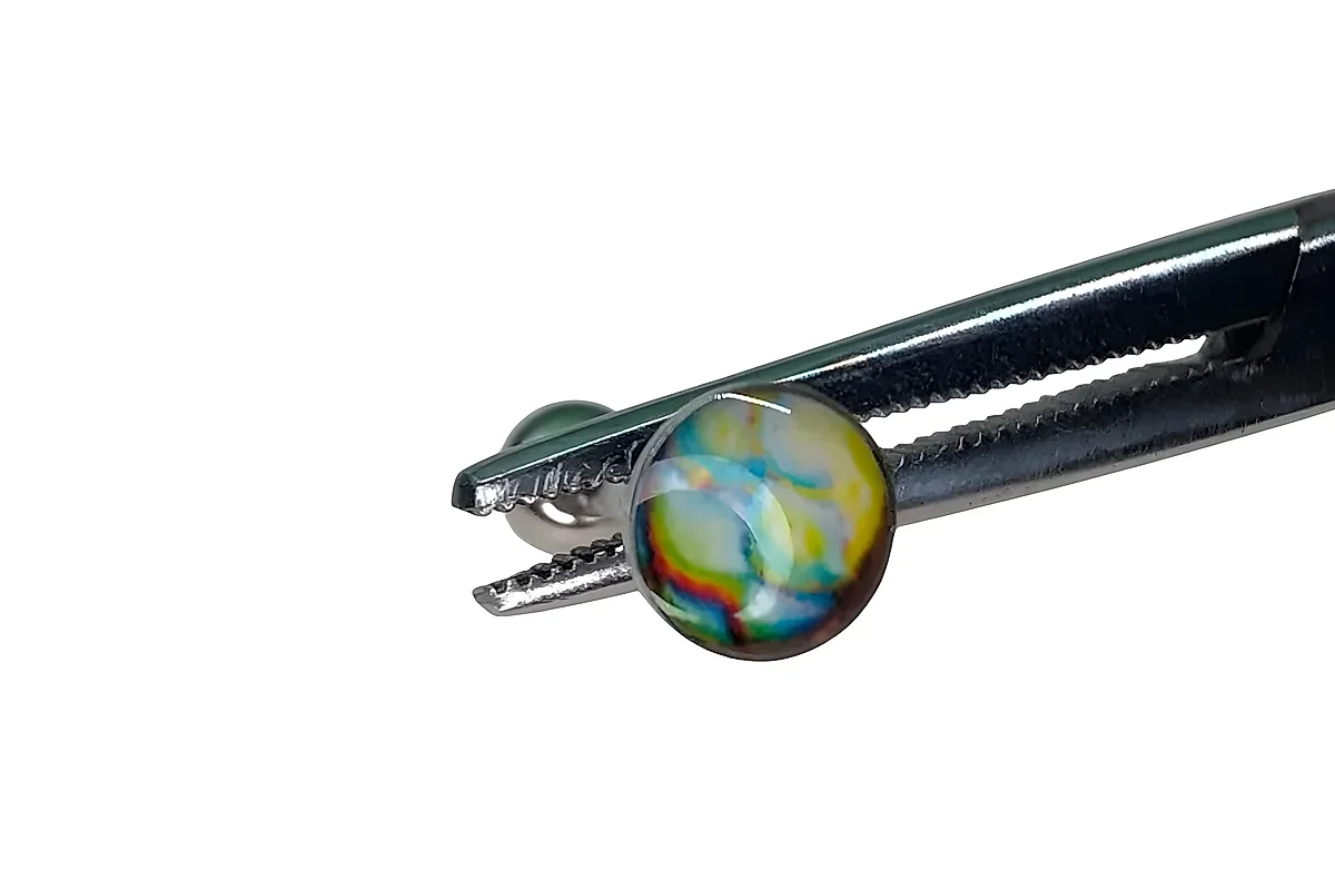Dragon Scale — Oasis Piercing