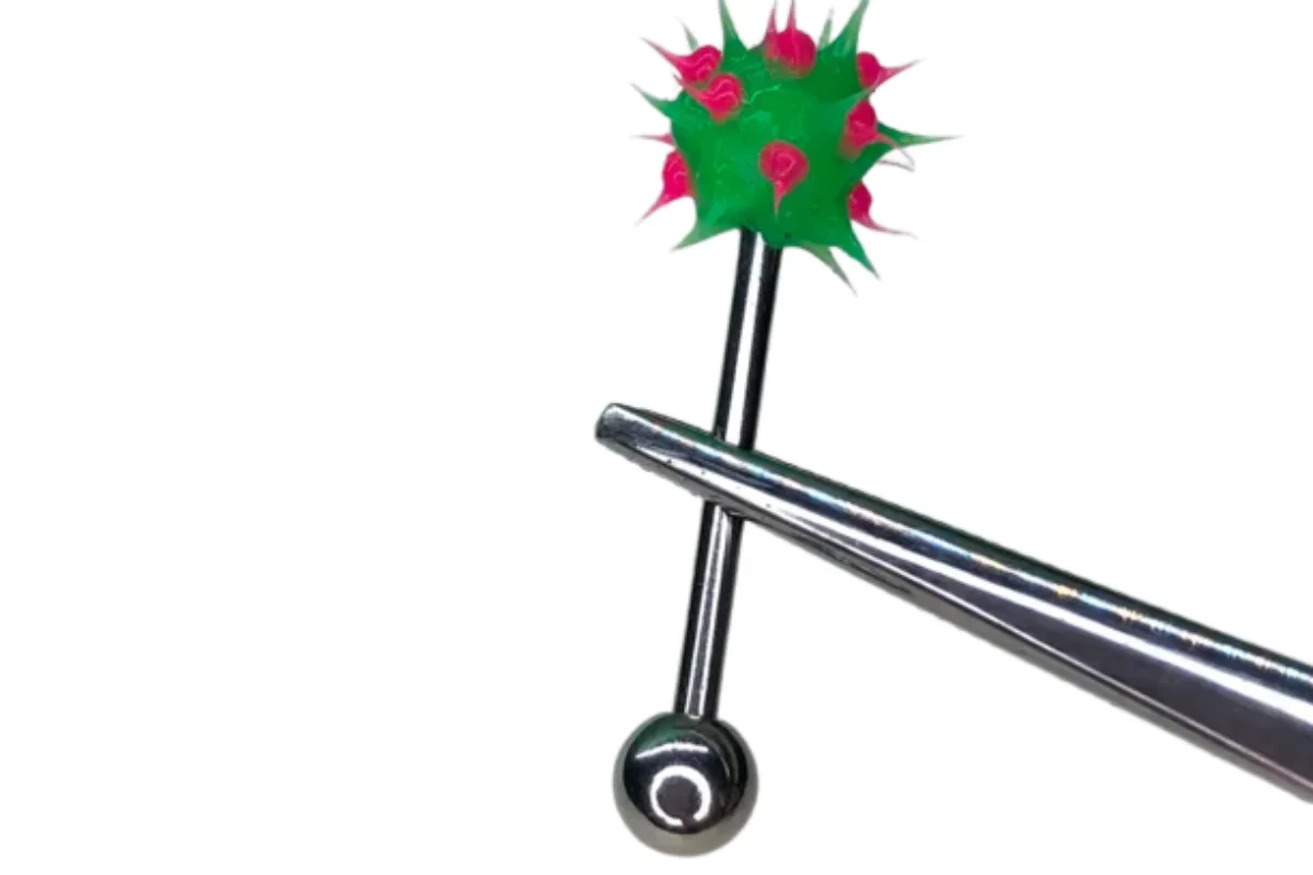Púa Bicolor — Oasis Piercing