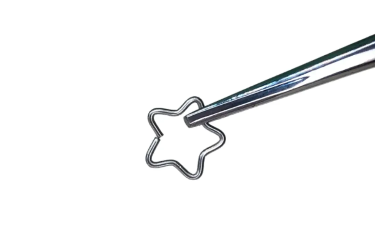 Estrella del Desierto — Oasis Piercing