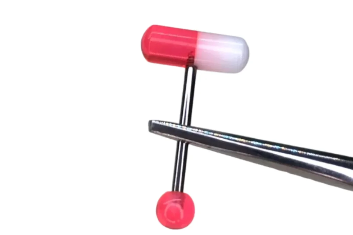 Pastilla Pop Bubblegum — Oasis Piercing